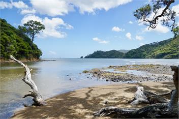 TePea Lodge   - Great Barrier Island