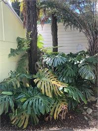 Takaka Townhouse - Takaka, Golden Bay