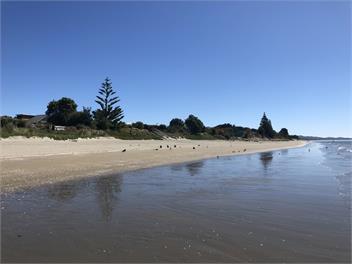 Summer in the Sun - Golden Bay
