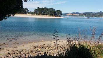 Coastal Heights - Coromandel
