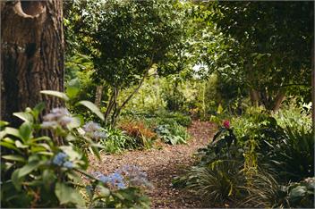Luxury Vineyard Holiday House - Blenheim