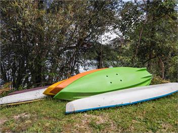Te Miro Cottage (Bachcare) - Lake Tarawera