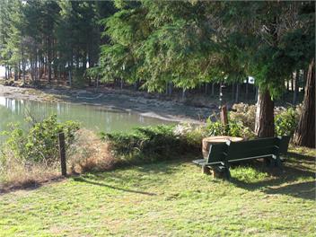 Harry Place Cottage - Tasman Bays