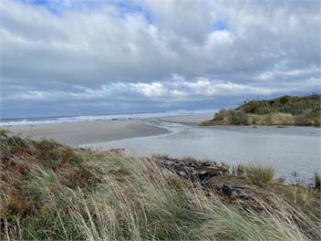 Toko Mouth Beach House - Dunedin