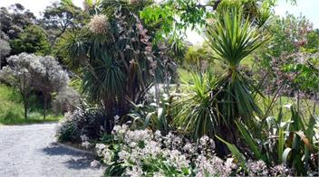 Kotare - Touch of Tuscany in Matakana - Matakana