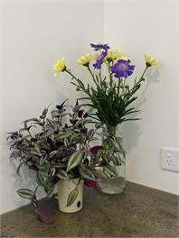 Fantail Orchard Apartment and Garden - Timaru