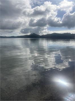 Lake Cottage - lake rotoma