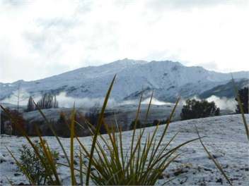 Arrowtown Cottage® - 