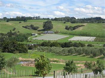 SeeView Lodge - Mangawhai Heads