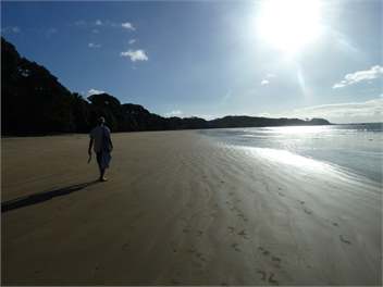 Settlers Dream Bach, Mill Bay - Mangonui
