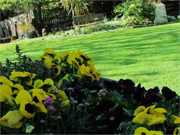 Nut Point Cottage - (Christchurch City and Country Cottages) - West Melton