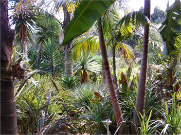 Milton Park country view cottage - Kaikohe