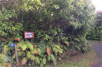 Kererū House - Rakiura/Stewart Island - Oban, Stewart Island