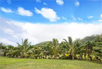Muri Homeland Villa - Rarotonga
