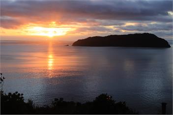 Coastal Heights - Coromandel