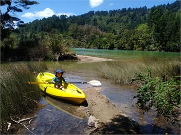Secluded Kenepuru Retreat. Beach, Bush & 50ha Farm - Picton