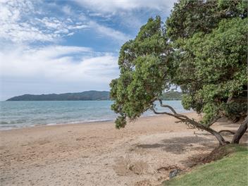 Light House - Coopers Beach