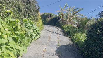 Ocean Paradise Retreat: Unwind at Waipu Cove Beach - Whangarei