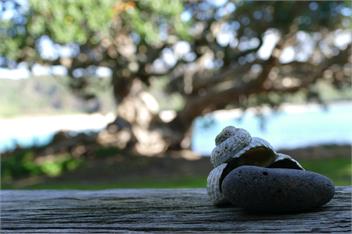  The Tapuaetahi Beach House - Bay of Islands