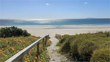 The Iconic Log Cabin by the Sea - Waihi