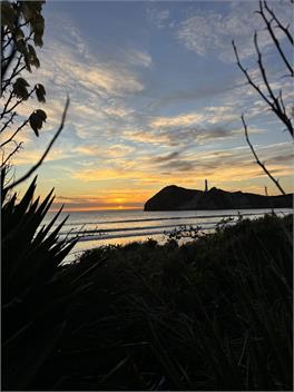 Waiwhare - On the Beach (Beach front property) - Castlepoint