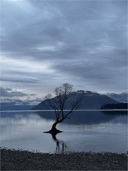 Central Wanaka Lakeview Luxury Apartment - Wanaka