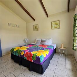 Mango Cottage - with A/C, unlimited Wifi and plunge pool - Avarua