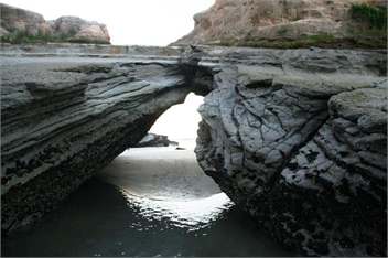 Lazy Seal Cottages - 