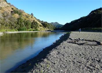 Aotea Homestead & Cottage - Martinborough