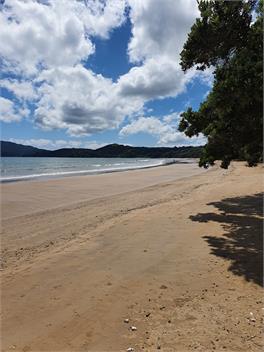 Coopers Beach Summer Cottage - Coopers Beach