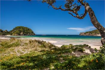 Matapouri Memories - 2 Houses! - Whangarei