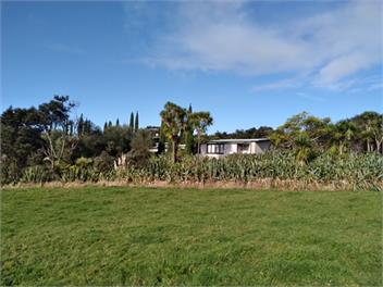 Kotare - Touch of Tuscany in Matakana - Matakana