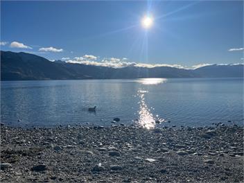 Little Maude Snug - Lake Hawea