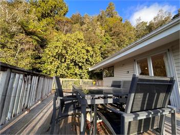 Punga Heights - Lake Kaniere