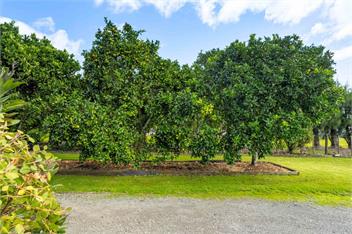 Bayview Cottage (Bachcare) - Tauranga