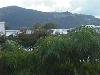 Location Location Location!!! - Rotorua