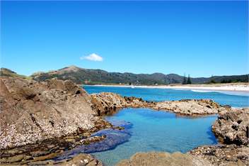 WaiOra Beach Retreat - Great Barrier Island