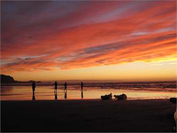 Lazy Seal Cottages - 