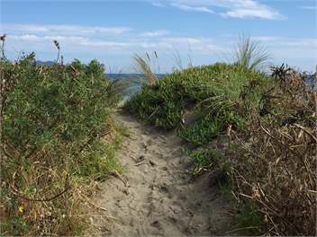 'Olde Beach Villa'  Waikanae. A wonderful ocean-view beach house - Waikanae