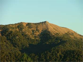 ***LONGSPUR ECO COTTAGE*** - South Wairarapa