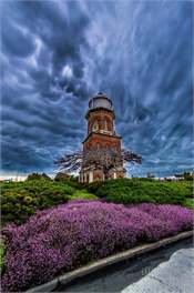 Cottage by the Tower - Invercargill