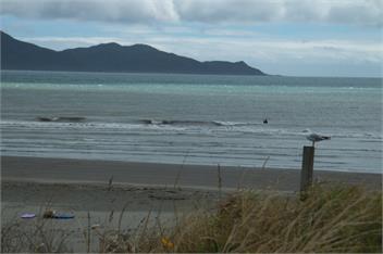 Holiday on Henare, Olde Beach Waikanae. - Waikanae