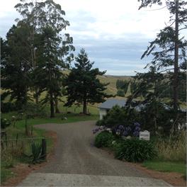 Redwood Cottage POURERERE BEACH - Waipawa