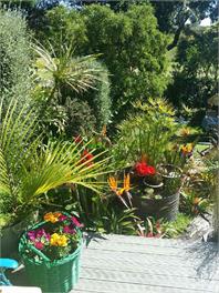 Beach side Character home with lovely sea views - Tauranga