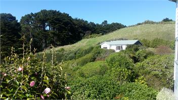 Woodburn Cottage - Wellington