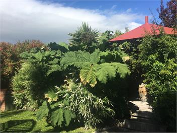 St Clair Beach **Jan 2026 Long Stay Special ** - Dunedin