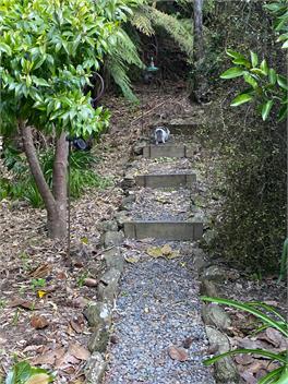 Te Mahia "The Boat Shed" - Marlborough Sounds