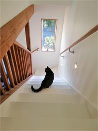 Beech Hill - Pet, Child & ECO Friendly - Nelson