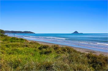 Elevated Beach Oasis (Bachcare) - Ohope