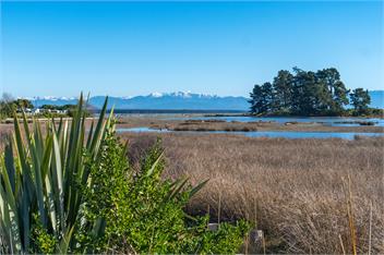 Tahuna Beach Oasis - Nelson